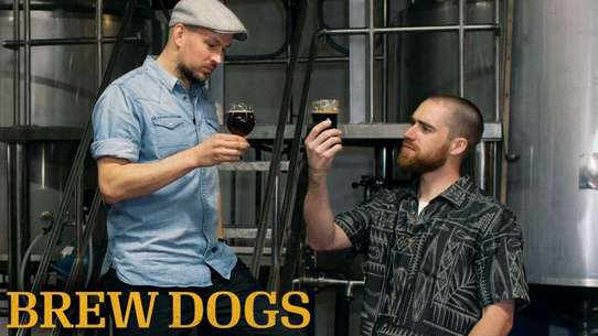Brew Dogs