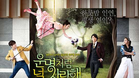Fated to Love You (KR)