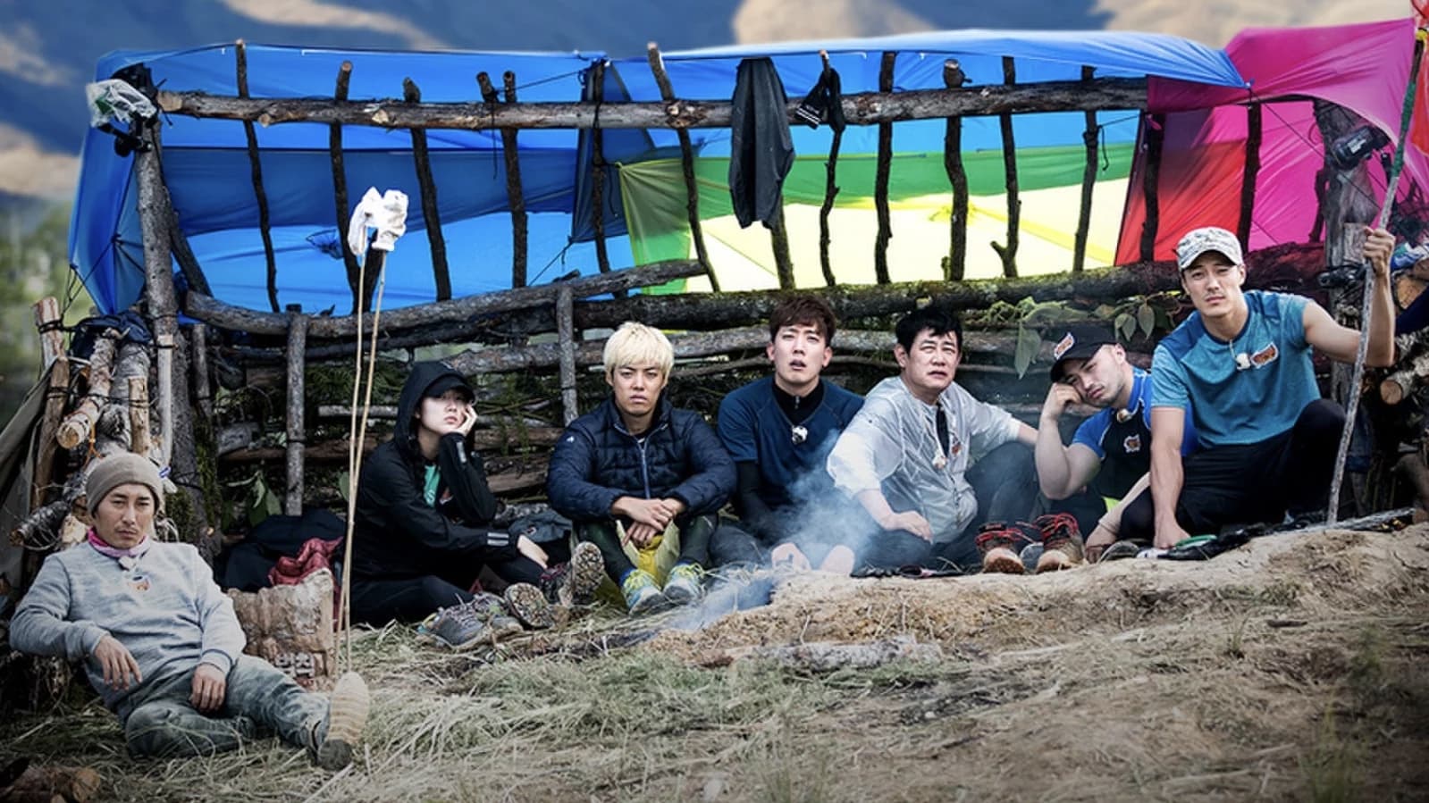 Law Of The Jungle in New Zealand - North Island (1)