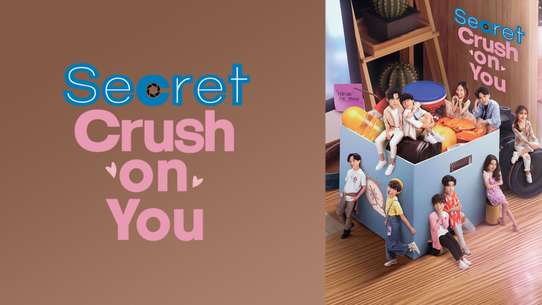Secret Crush On You