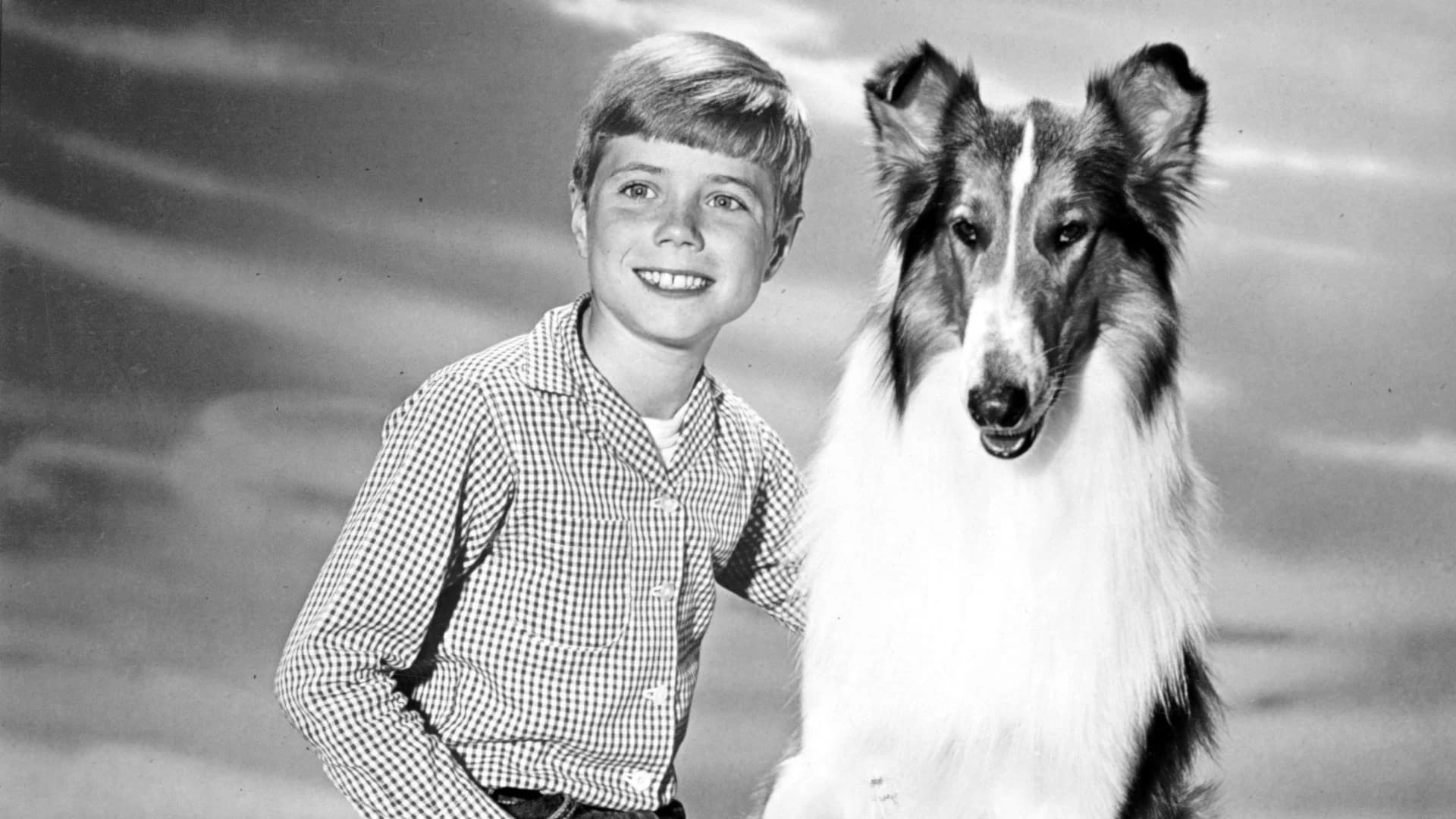 Lassie and the Girl in the Canyon
