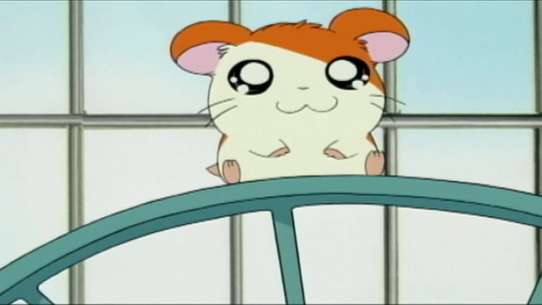 Hamtaro: Little Hamsters, Big Adventures