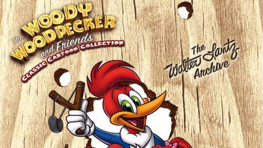 Best The Woody Woodpecker Show Episodes Episode Ninja